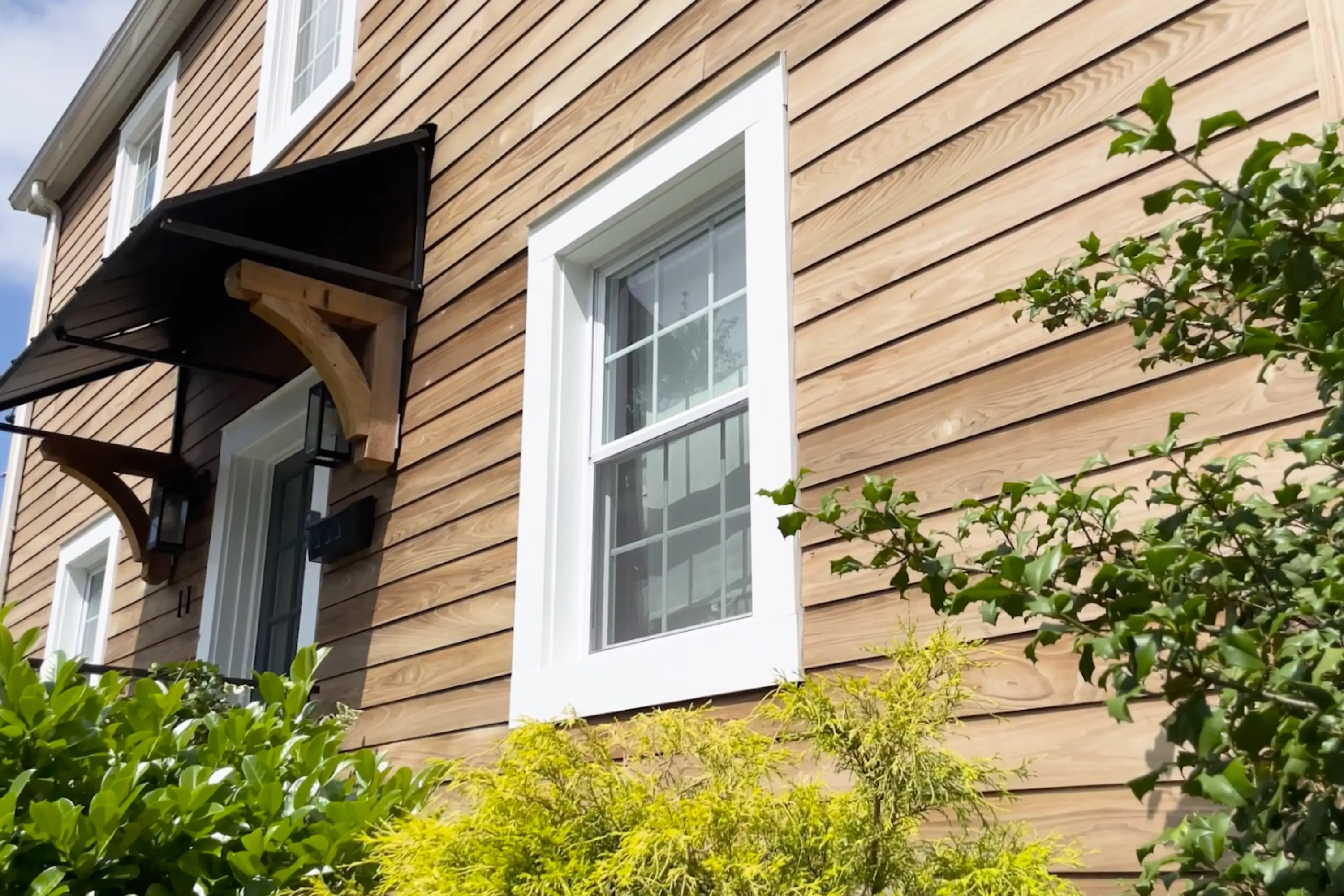 Thermally Modified Pennsylvania Poplar siding detail demonstrating color uniformity